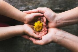 Professional Trustee Services You Can Trust – de Groots Guardian Services Pty Ltd 3 Brisbane